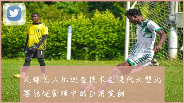 足球无人机巡查技术在现代大型比赛场馆管理中的应用案例