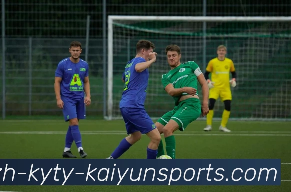 ky开云平台生态图